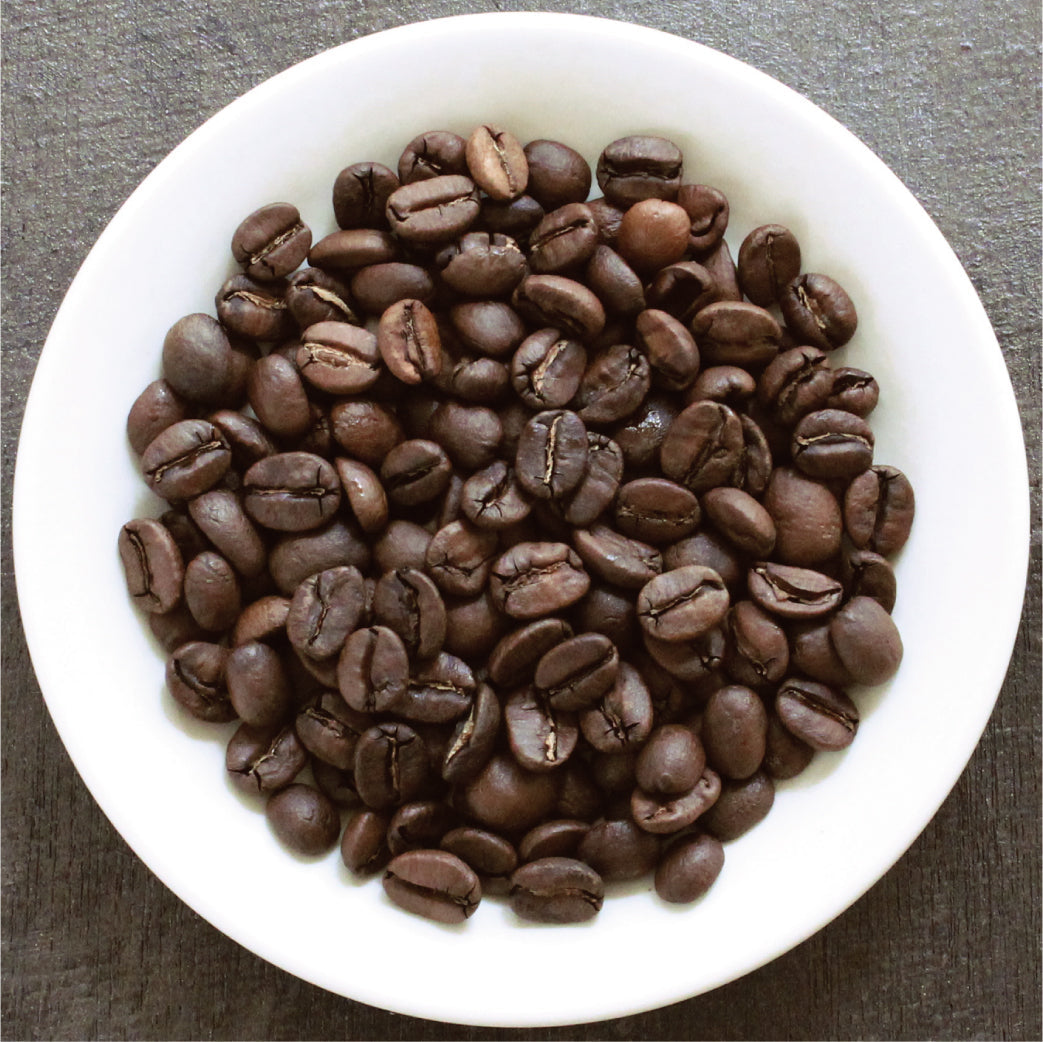 コスタリカ FSHB ジャガーハニー